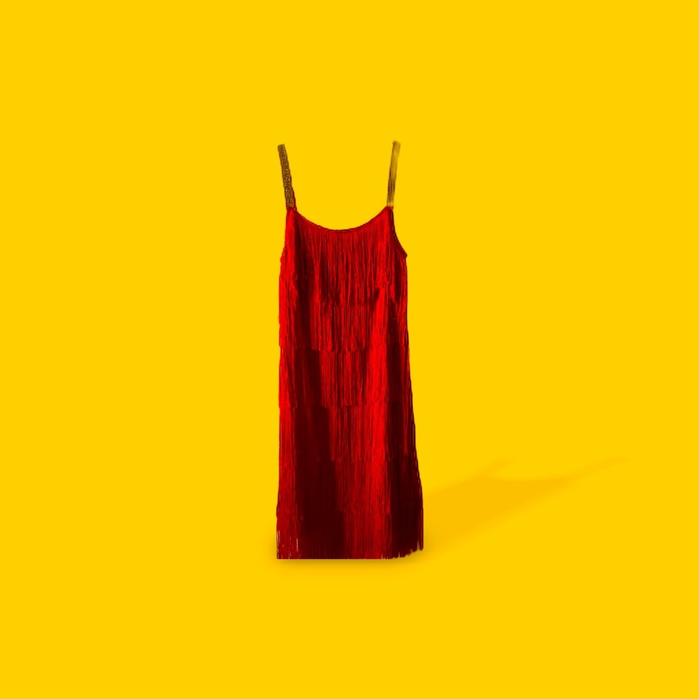 L’ Vows women’s 1920’s Flapper fringed dress.